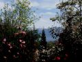 primavera 20140407 1771827724