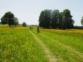 saignelgier 20140612 1166165733
