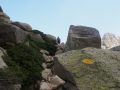 meer und berge 20140630 1161525218