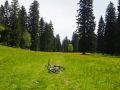 saignelgier 20140612 1334076262