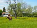 saignelgier 20140612 1609430035