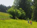 saignelgier 20140612 1784890583