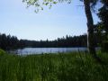 saignelgier 20140612 1863243552