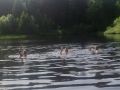 saignelgier 20140612 1904584060