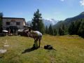 spass pur 20140902 1907670995