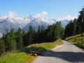 trailcrmeschnitte 20140729 1525128119