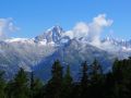 trailcrmeschnitte 20140729 1684568862