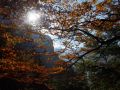 alpstein 20141012 1052018634