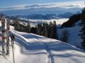 der erste schnee 20141107 1120111539