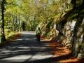 goldener herbst 20141020 1612053681