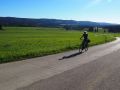 goldener herbst 20141020 1974880976
