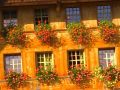 gotthelf 20141013 1196144723