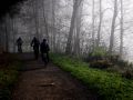 hometrails 20141124 1466363568
