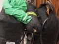 spannend 20141010 2091891914