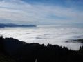 toggenburg 20141117 1646109845
