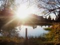 traumherbst 20141103 1005549198