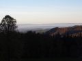 traumherbst 20141103 1066031061