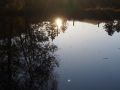 traumherbst 20141103 1575291943