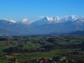 traumherbst 20141103 1787583956