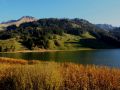 traumherbst 20141103 1800907319