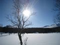 img 1129 1 20100831 1490023282