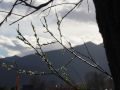 o sole mio 20150407 1457256120