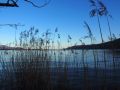 o sole mio 20150407 1724602143