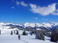osterpowder 20150407 1110366232