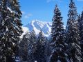 osterpowder 20150407 2031339620