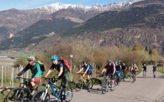 vinschgau, transateamevent