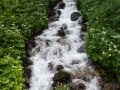 bergfruehling 20150714 1931351721