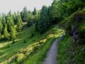bergfruehling 20150714 2018176099