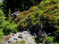 chill  bike 20150630 1277391376