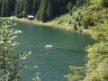 golzerensee 20150714 1199098092