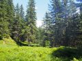 golzerensee 20150714 2073721375