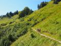 baden hiken geniessen am see 20150901 1261803384