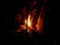 bijou in der naehe 20150911 1552236783