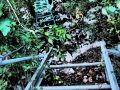 bijou in der naehe 20150911 1735301115