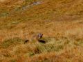 wandern biken  schlemmen 20151013 1520532752
