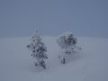 allerlei 20151217 1518380253