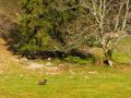 nebel und sonne 20151109 1947328490