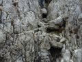wandern biken schlemmen 20151012 1650959268