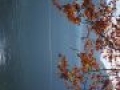 wow 20151109 1005923353