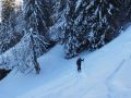toggi 20160229 1011744334
