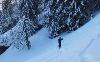 zwei toggenburger touren
