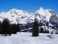 toggi 20160229 1098568474