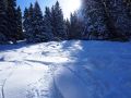 toggi 20160229 1707203454