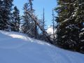 toggi 20160229 1708140587
