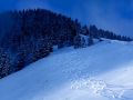 toggi 20160229 2018431825