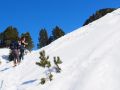 powpow 20160312 1384856021
